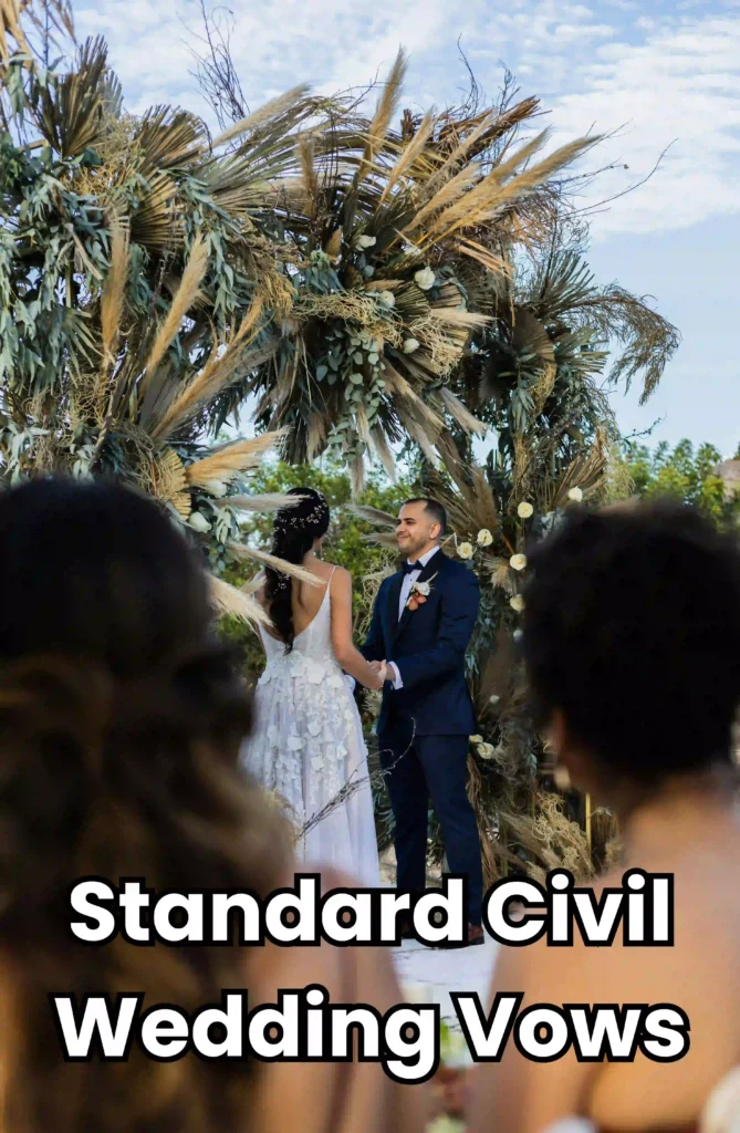 standard civil wedding vows image